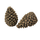Burning Gas Fireplace Accessories Ceramic Pinecone Logs Firewood Pinecone